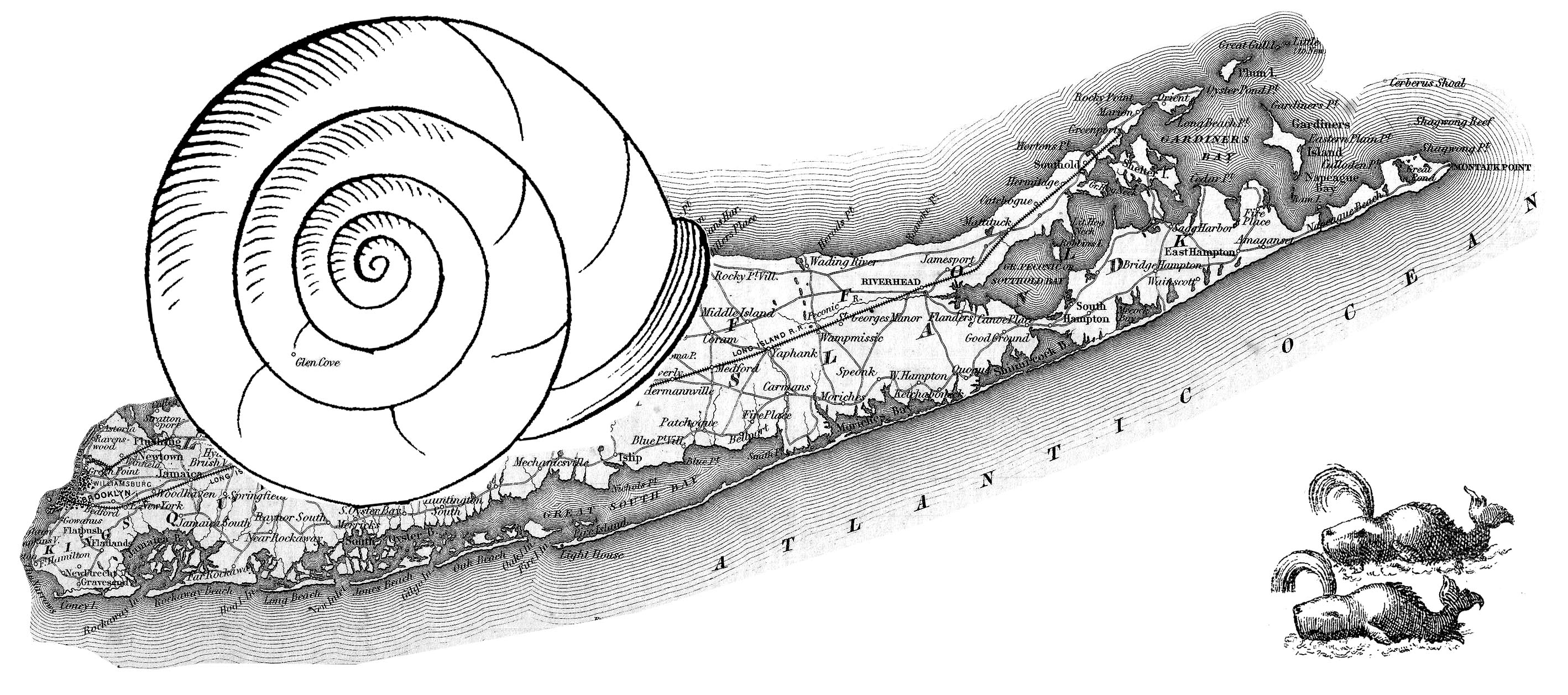 Long Island transformed into a snail