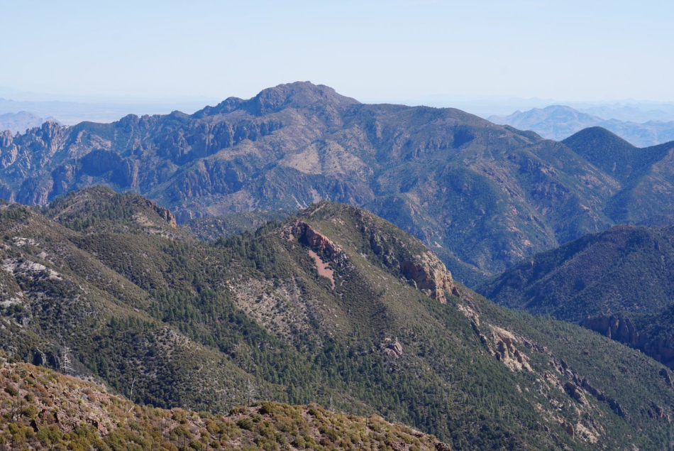 What Is an Elevational Range? A New Study Advises on How to Measure Where Species Live