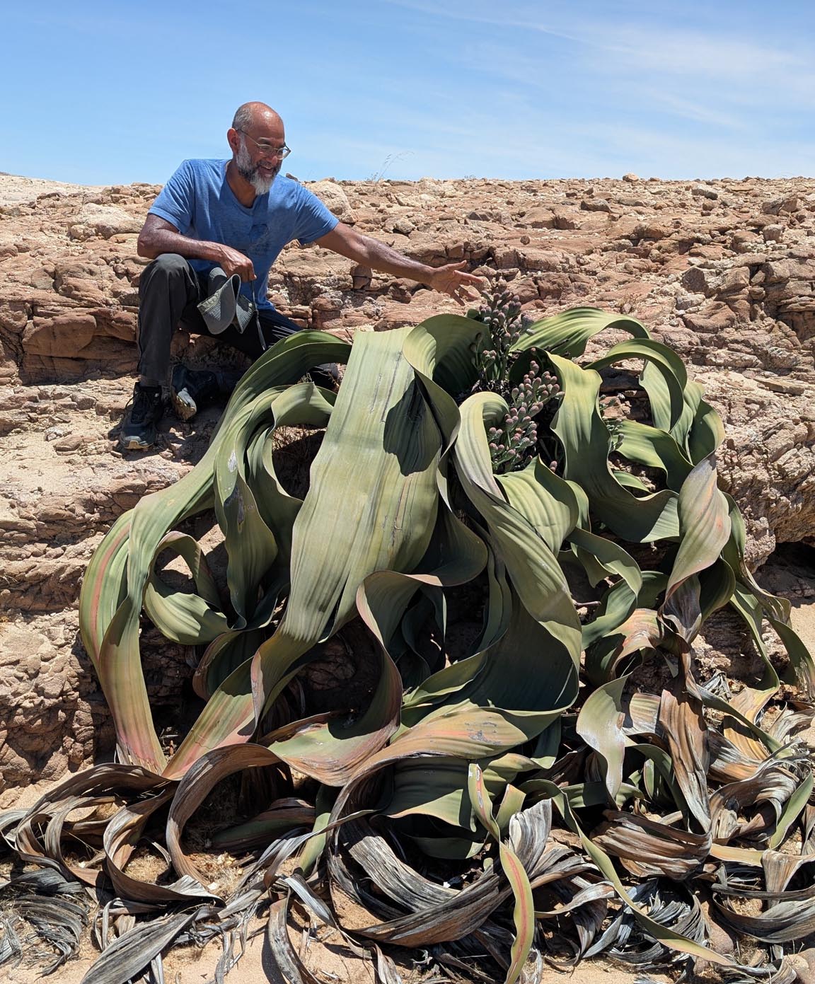 Anurag Agrawal in the field