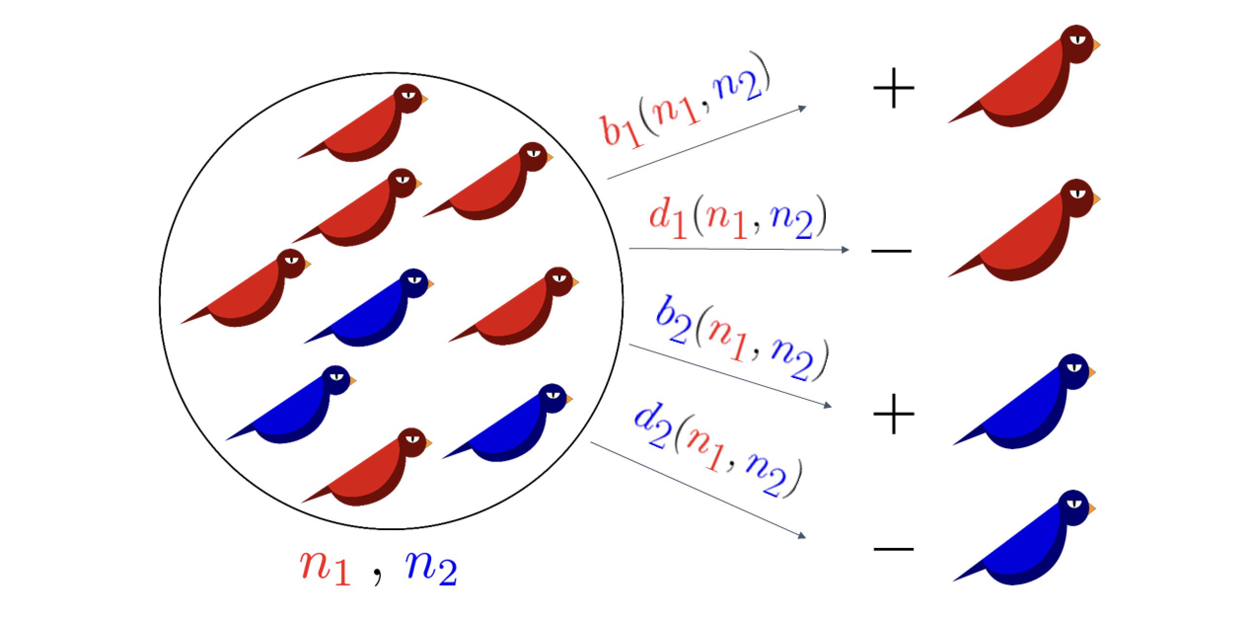 How Randomness Can Flip Evolution: New Study Uncovers Surprising Role of Population Noise