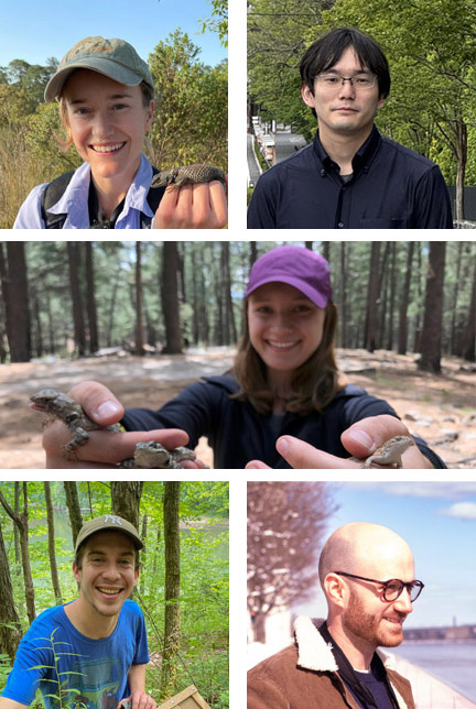 2026 ASN Early Career Investigator Awards