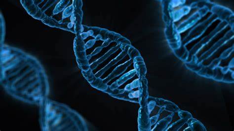 DNA helix - public domain pictures