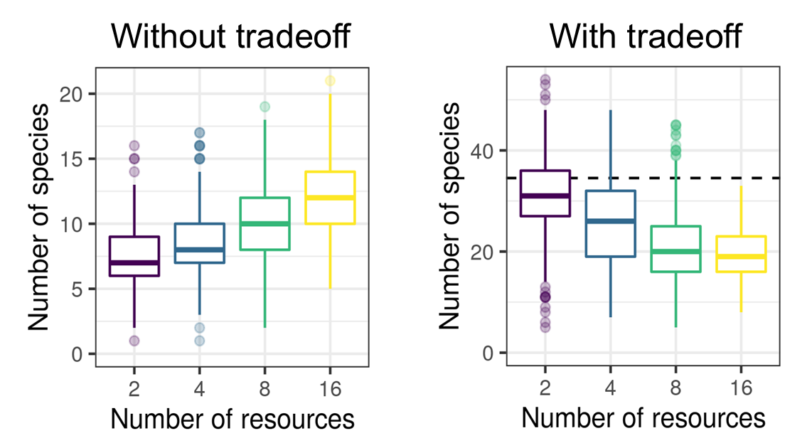 More resources don’t always mean more diversity: new insights from an ecological model