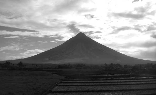 Mount Mayon towers above rice paddies on the island Luzon of the Philippines.<br />(Credit: Brett Scheffers)
